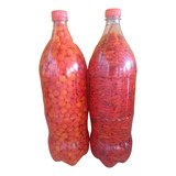Salmoura.