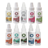 Kit 10 Cores Corante Gel Concentrado Comestível Alimentício 