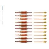 Kit 10 Filtros Silica Capilar + 10 Valv Serviço Schrader 1/4