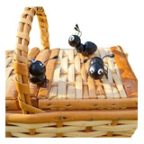 Decorativa
