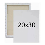 20x30