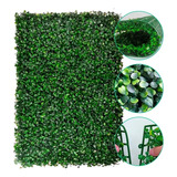 Kit 10 Uni Placa De Grama 40x60 Com Buchinhos Verdes Paredes