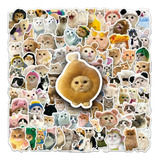 Kit 100 Adesivos Sticker Gato Gatinho Cat Fofinhos Memes