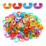 Kit 100 Anilhas P/ Galinha 4 Cores 2 A 2.4cm Ajustável