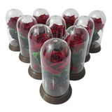 Kit 100 Mini Rosas A Bela E A Fera O Pequeno Príncipe Veludo