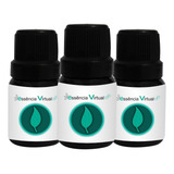 Kit 12 Essências 10ml P/ Perfumes + Base Pronta De 2 Litros
