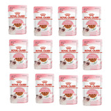 Kit 12un Ração Úmida Royal Canin Kitten Gatos Filhotes 85g