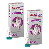 Kit 2 Bravecto Plus Para Gatos