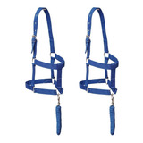 Kit 2 Cabresto Quarto Milha Mangalarga Personalizado Cavalo