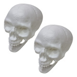 Kit 2 Cranio Caveira Esqueleto Decorativo