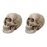 Kit 2 Cranio Caveira Grande Tamanho Real Em Resina Decoração