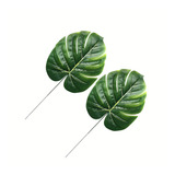 Kit 2 Folha Costela De Adão Verde 29 Cm Com Haste