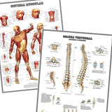 Kit 2 Mapas Músculos + Coluna