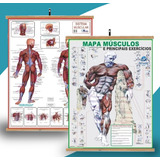 Kit 2 Mapas Sistema Muscular -