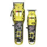 110v/220v