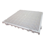 50x50