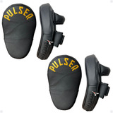 Pulser