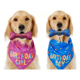 Kit 2 Peças Bandana + Osso Festa Aniversário Cachorro Pet
