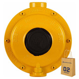 12kg/h