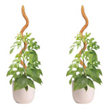 Kit 2 Suporte Para Plantas Trepadeiras Jibóia Tutor 78cm