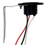 Bivolt