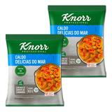 Kit 2 Un Caldo Delícias Do Mar Knorr= Rende 63 Litros Cada 