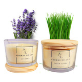 Kit 2 Velas Aromáticas Perfumada Capim Limão E Lavanda 100gr