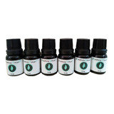 Kit 20 Essências 10ml P/ Perfumes