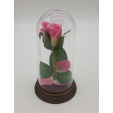 Kit 20 Mini Cúpulas A Rosa Encantada A Bela E A Fera P