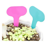 Kit 20 Placa Identificação Planta Plaquinha Horta Vaso 
