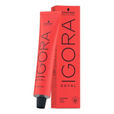 Kit 24 Igoras Royal A Escolha. Consulte Cores Nas Perguntas.