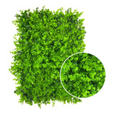 Kit 29 Placa De Grama Eucalipto 40x60 Jardim Vertical Luxo