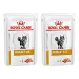 Canin