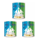 Kit 3 Ascenda Cereais Infantil Baunilha Sem Glúten 800g