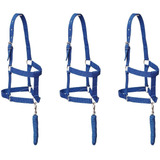 Kit 3 Cabrestos Personalizados Cavalo Quarto De Milha 