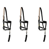 Kit 3 Cabrestos Quarto Milha Personalizado Para Cavalo 