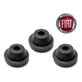 Etorq