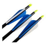 Kit 3 Flechas Carbono Cor Azul Ponta Fixa Disparo Com Arco