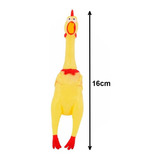 16cm