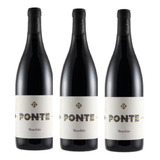 Kit 3 Garrafas Mouchão Ponte Safra 2015 Alentejo
