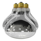 Kit 3 Lâmpada Luz P Conservador Aquecedor Batata Frita 220