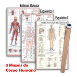 Kit 3 Mapas Sistema Muscular - Esquelético 1 E 2 - Enrolado