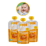 Kit 3 Papinhas Orgânica Manga Introdução Alimentar Bebê 100g