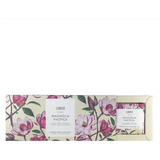 Kit 3 Sabonete Em Barra Vegetal Magnolia Pacifica 80g Lenvie