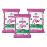 Jardinagem