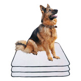 Kit 3 Tapetes Higiênicos Lavável Canino Cães Cachorro 80x60