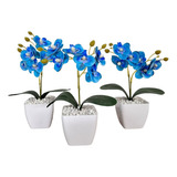 Kit 3 Vasinhos Mini Orquídea Azul