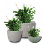 Kit 3 Vasos Luxo Plantas Jardim