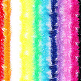 Coloridos
