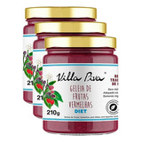 Kit 3x: Geleia De Frutas Vermelhas Diet Villa Piva 210g